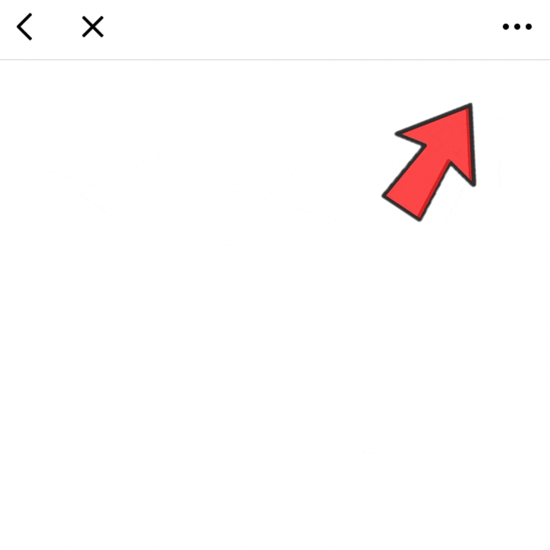 How to open the page in your browser